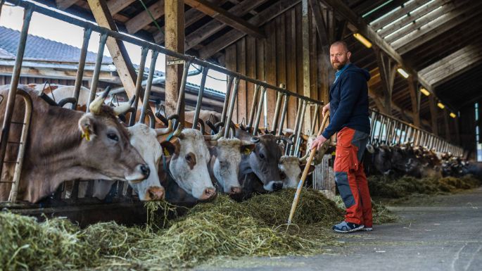 Lochrütihof_Odermatt-Waser_Wolfenschiessen_Arbeit