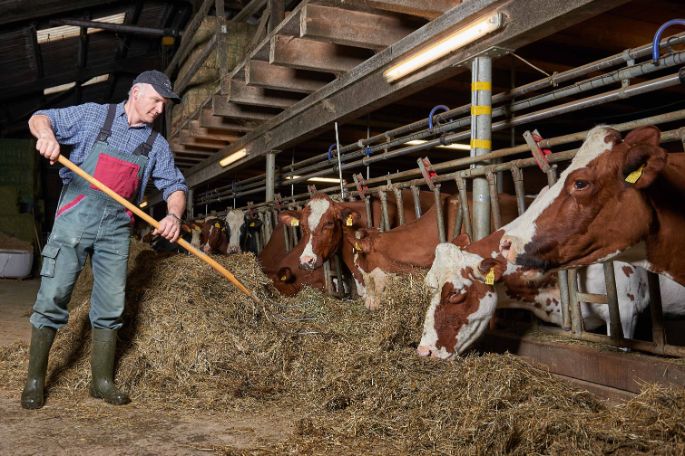 Lucherenhof, Ueli und Christine Fahrni, Rumisberg_Stall_2