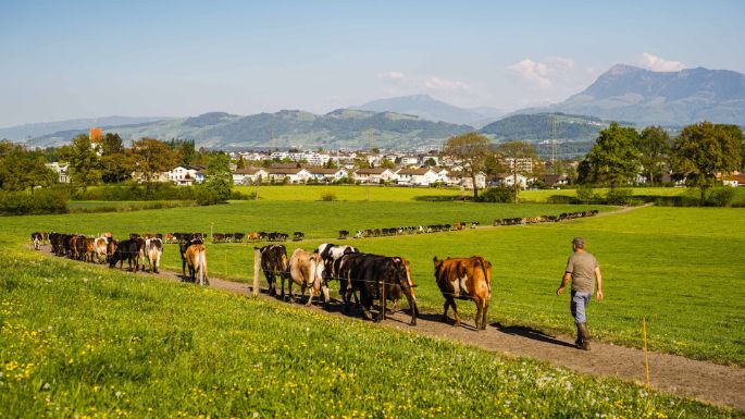 Lügisingen_Bühlmann_Rothenburg_Arbeit