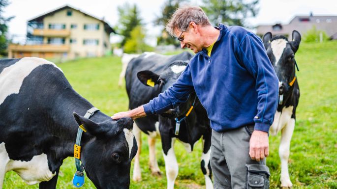 Maienhof_Krummenacher_Hägglingen_Arbeit_2