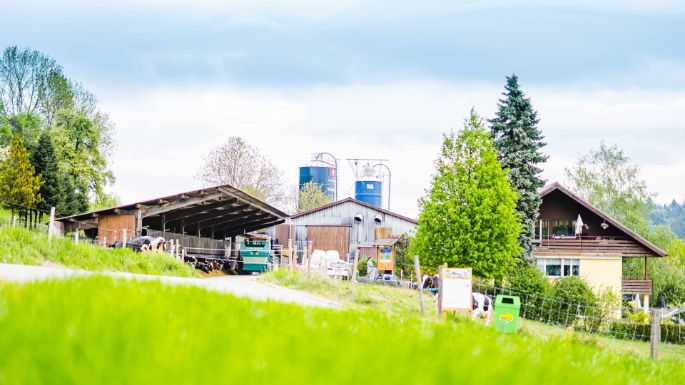 Maienhof_Krummenacher_Hägglingen_Hof