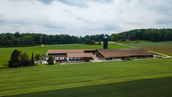 Mattenhof_Frei_Adlikon_Drohne