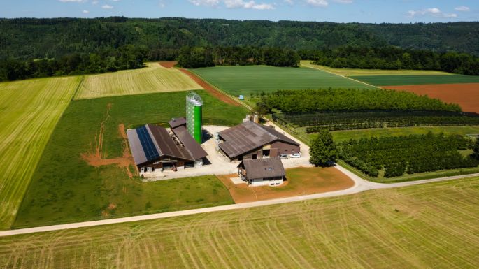 Milchwirtschaftsbetrieb Dommen_Dommen_Wittnau_Drohne