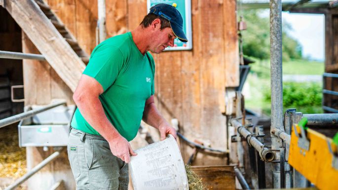 Milchwirtschaftsbetrieb_Dommen_Dommen_Pfeffikon_Arbeit