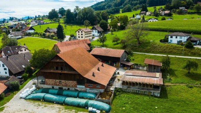 Milchwirtschaftsbetrieb_Dommen_Dommen_Pfeffikon_Drohne