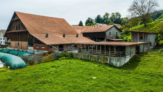 Milchwirtschaftsbetrieb_Dommen_Dommen_Pfeffikon_Hof