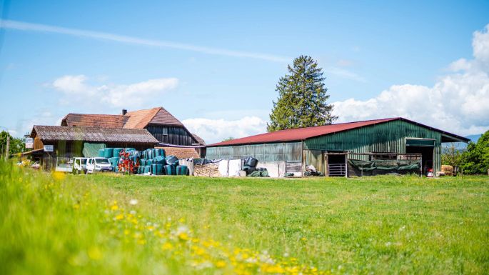 Milchwirtschaftsbetrieb_Schmid_Schmid_Busswil_BE_Hof