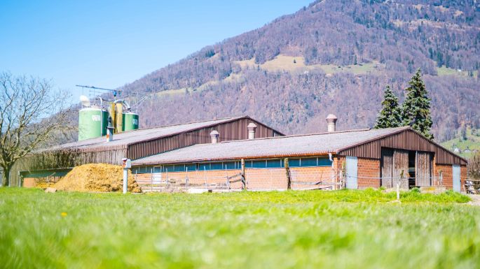 Muellerhof_Mueller_Weesen_Hof_2