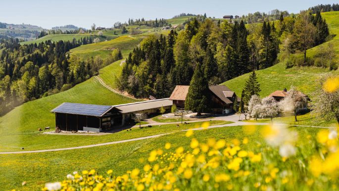 Neumättli_Lustenberger_Steinhuserberg_Hof