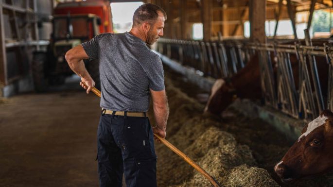 Neuweidhof_Ruegsegger_Rosshaeusern_Arbeit