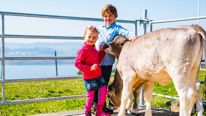 Panoramahof_Bolleter-Diakun_Meilen_Kinder