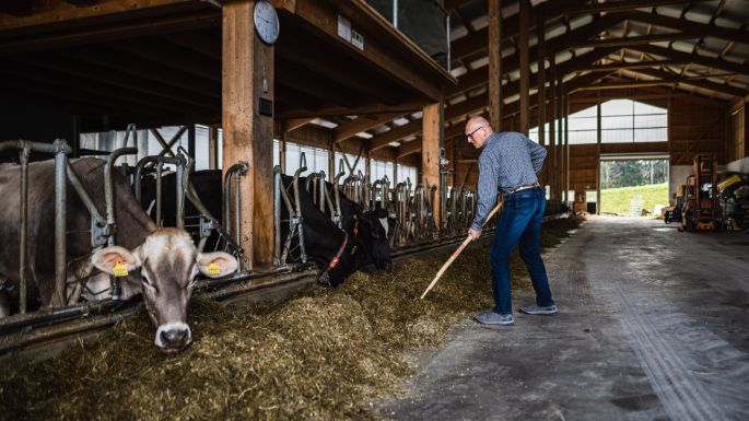 Panoramahof_Furrer_Beinwil_Arbeit