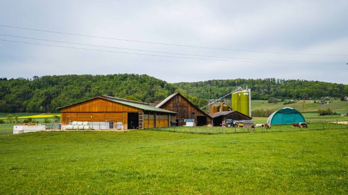 Riedhof_Märki_Rüfenach_Hof