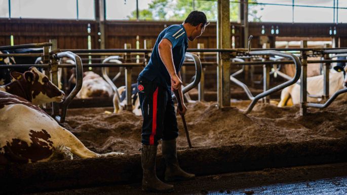 Rieselehof_Dummermuth_Thörishaus_Arbeit