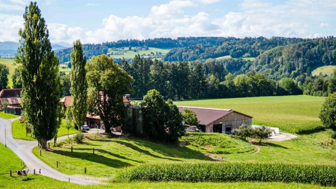 Rieselehof_Dummermuth_Thörishaus_Hof