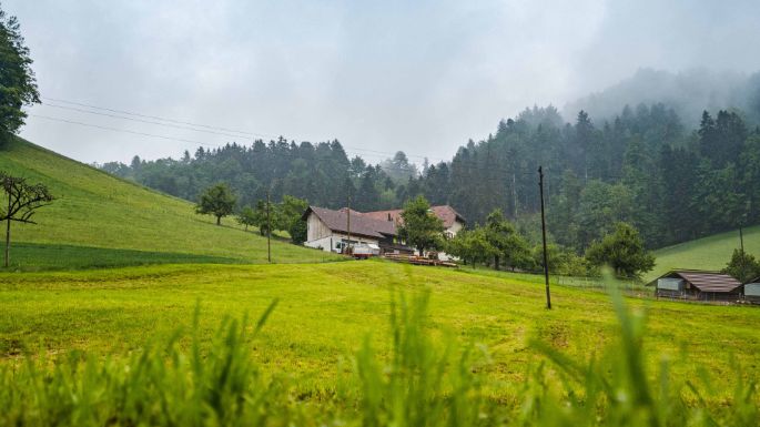 Schattige Schwendi_Hofstetter_Oberbalm_Hof
