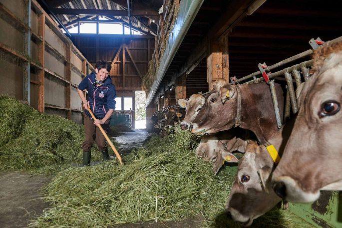 Schluchen, Daniela Sturzeneger-Menzi, Filzbach_Stall_2