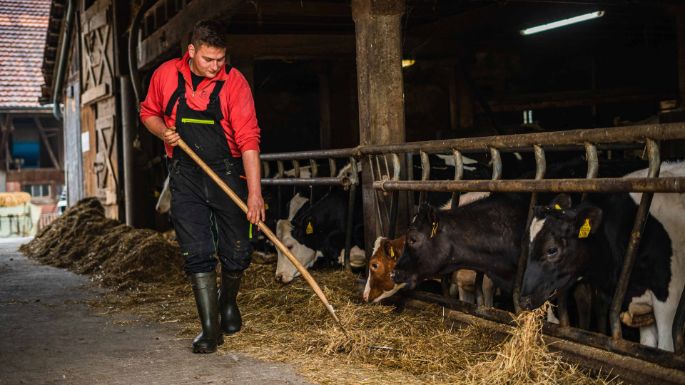 Schmidhof_Schmid_Lengnau_Arbeit