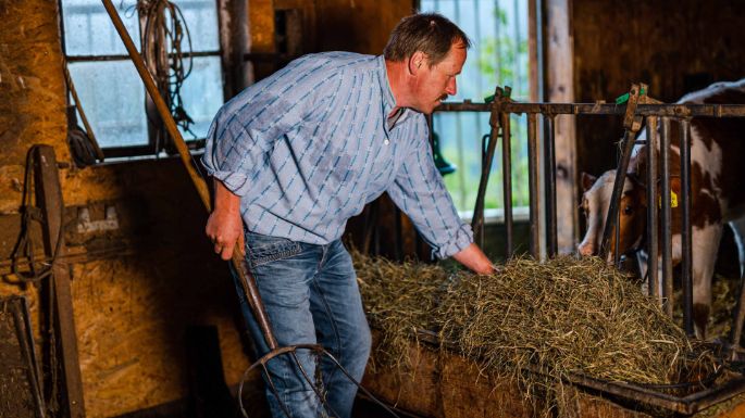 Seileren_Nyffeler_Gondiswil_Arbeit_2