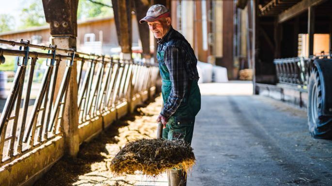Sonnenhof_Schneider_Fisibach_Arbeit