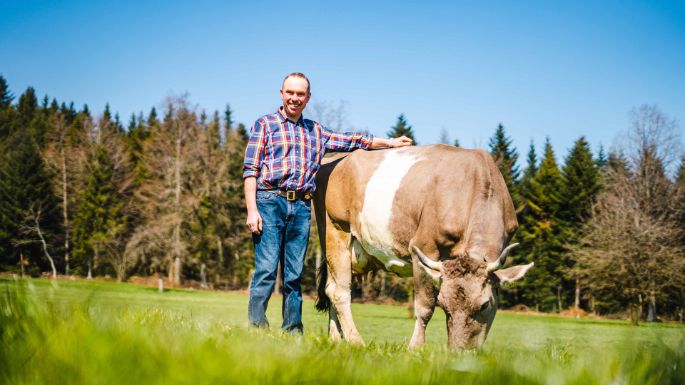 Sonnerihof_Haas-Fischer_Beinwil_Kuh_2