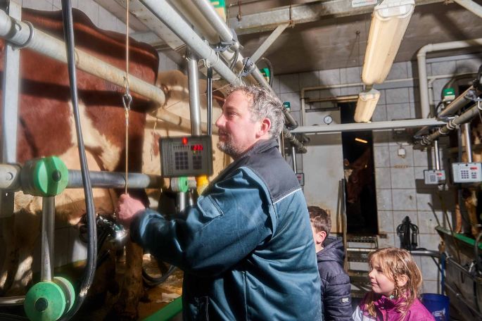 Steiacherhof, Thomas Zimmermann, Fisibach_Stall