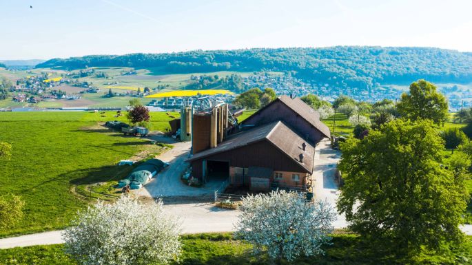 Steig_Bachmann_Niederweningen_Drohne_2