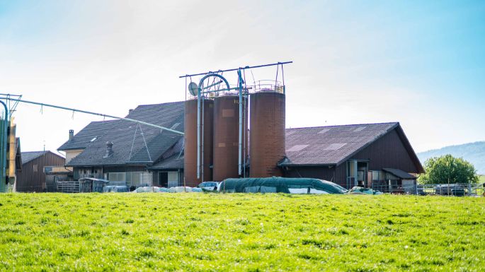 Steig_Bachmann_Niederweningen_Hof