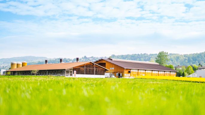 Storenächerhof_Wertli_Zufikon_Hof