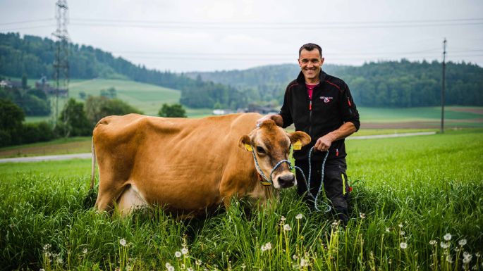 Strickhof_Steigmeier_Endingen_Kuh