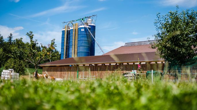 Sunneschy_Sterbel_Anglikon_Hof