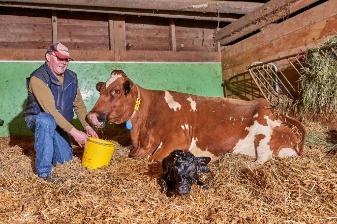 Talacherhof, Patrick Müller, Lengnau_Stall_2