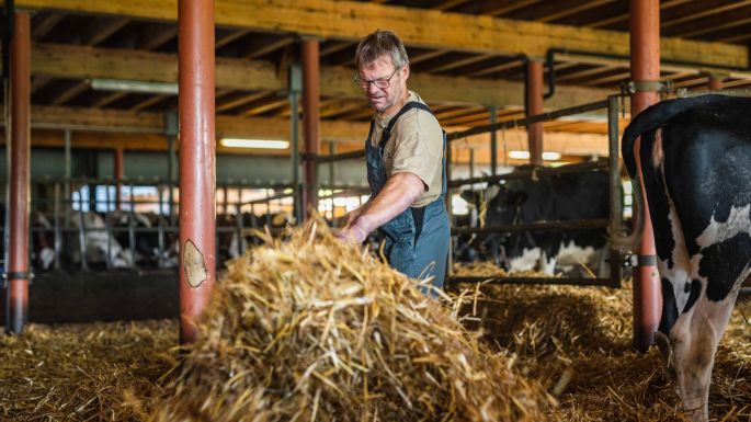 Vorder Leggiswil_Affolter_Wynigen_Arbeit