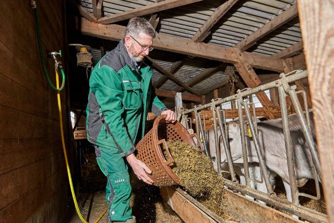 Waldhof, Markus Borner, Schneisingen_Stall