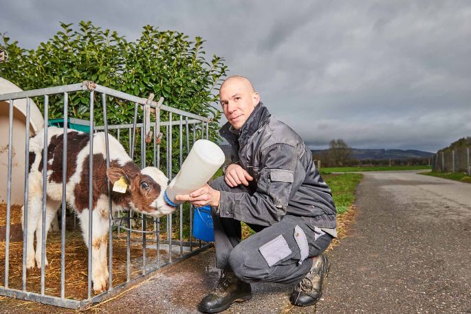 Weidhof, Christian Hitz, Untersiggenthal_Kuh_Kalb_2
