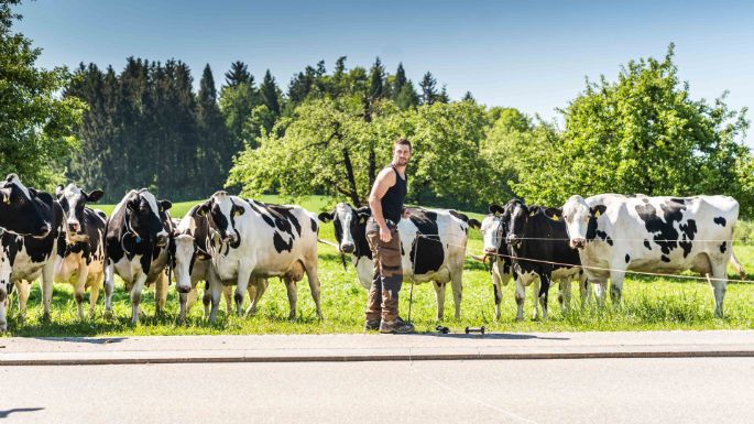 Weidriethof_Zeller_Seegr?ben_Arbeit