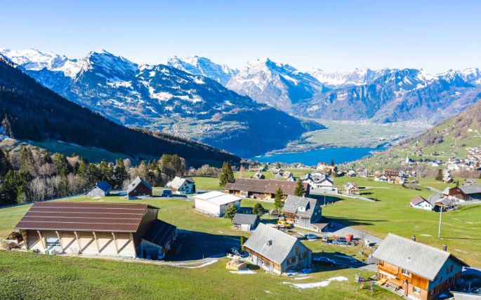 Weisstannen_Buesser_Amden_Drohne