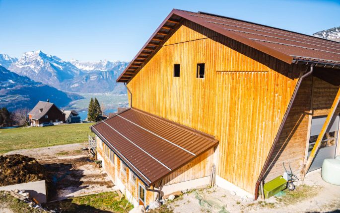 Weisstannen_Buesser_Amden_Hof