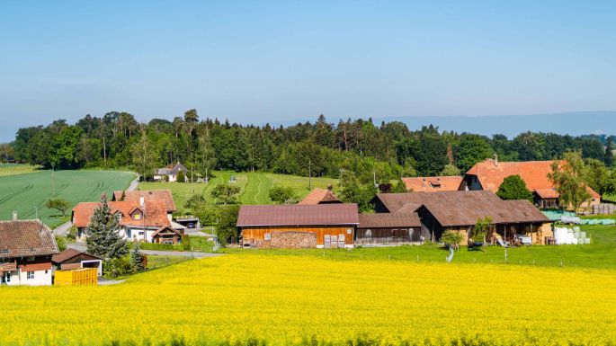 Wyssmann_Wyssmann_Neuenegg_Hof