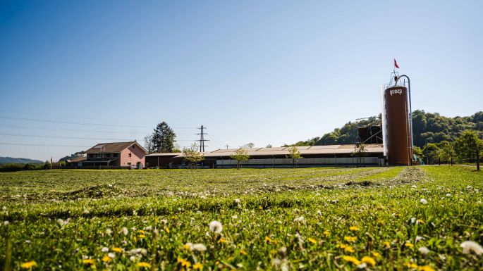 Wytihof_Furter_Staufen_Hof